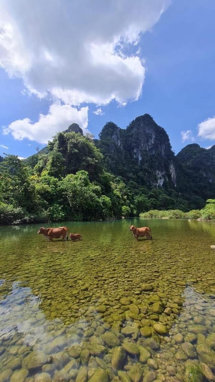 Phong Nha Backpacker Hostel Cu Lac Exterior photo
